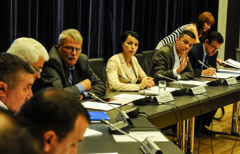 Înlocuitorul lui Grindeanu, ales peste 5 zile