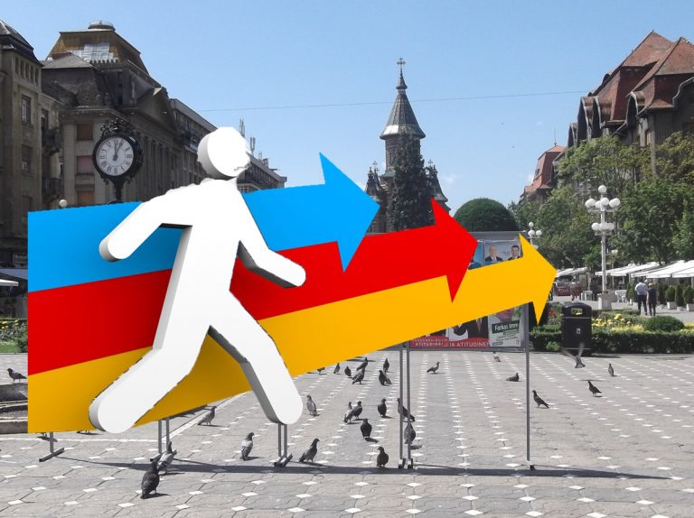 TIMIȘ, județul care exportă de 518.413.000 euro! Vezi produsele care pleacă în toată lumea…