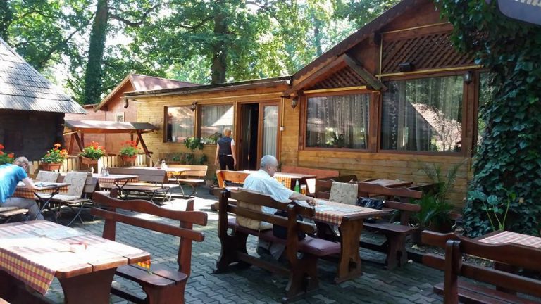 Conducerea CJT acuză: terasă ilegală în incinta Muzeului Satului Bănăţean!