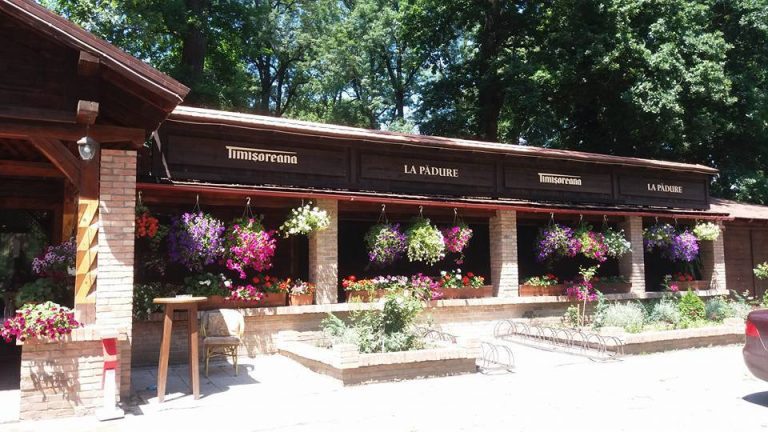 Terasa de la Muzeul Satului a funcţionat 6 ani ilegal. Neregulile nu sunt clare încă