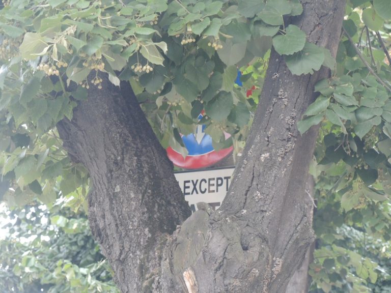 Semne de circulație rușinoase, nu vor să fie văzute