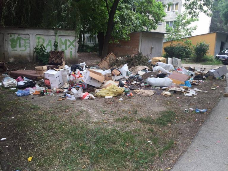 Zeci de tone de deșeuri din rampe clandestine din Timișoara ridicate într-o singură zi!