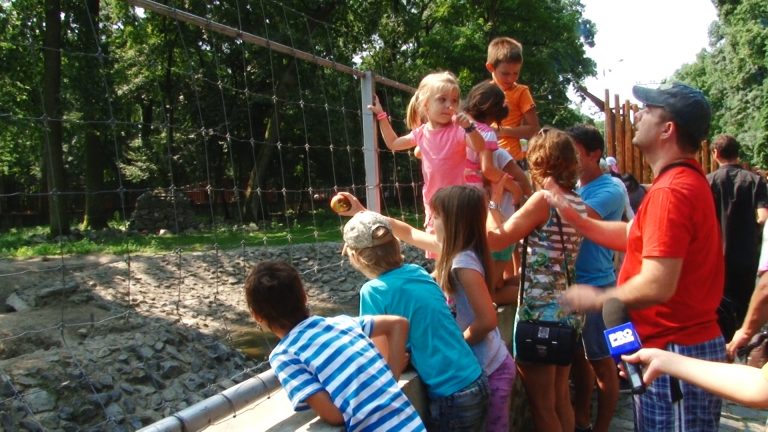 Zeci de copii au participat la Ziua Internațională a Grădinilor Zoologice, în Timișoara-VIDEO