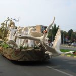 festivalul florilor debrecen (1)
