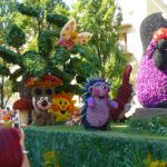 festivalul florilor debrecen (2)