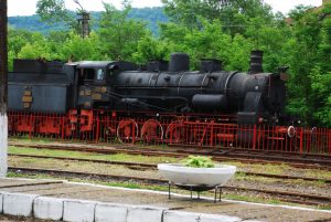 foto ORAVITA MAI 2016 (15)