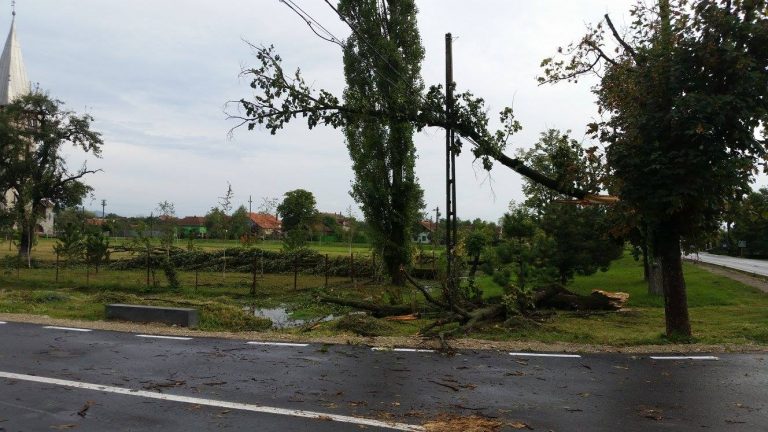 Bilanțul scurt al furtunii din Timiș: grădini sub apă și drum blocat
