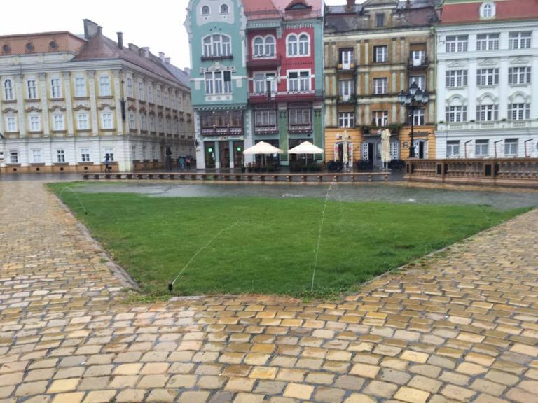 Gazonul din Piaţa Unirii, inundat de stropitorile pornite pe timp de ploaie