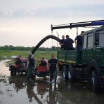 isu timis inundatii