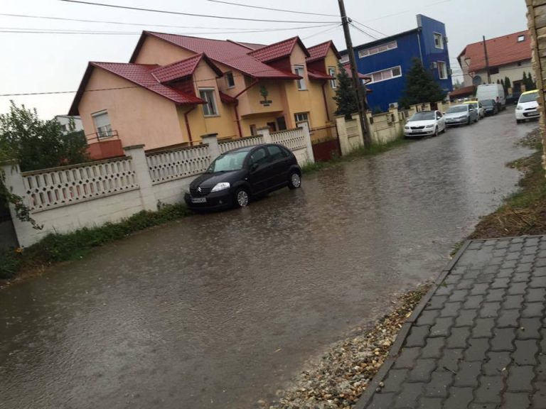 Ploaia, problema nr. 1 a Timişoarei