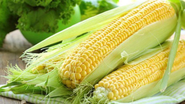 Timișul se întrece pe sine în recoltele toamnei. Care sunt producțiile ce depășesc așteptările