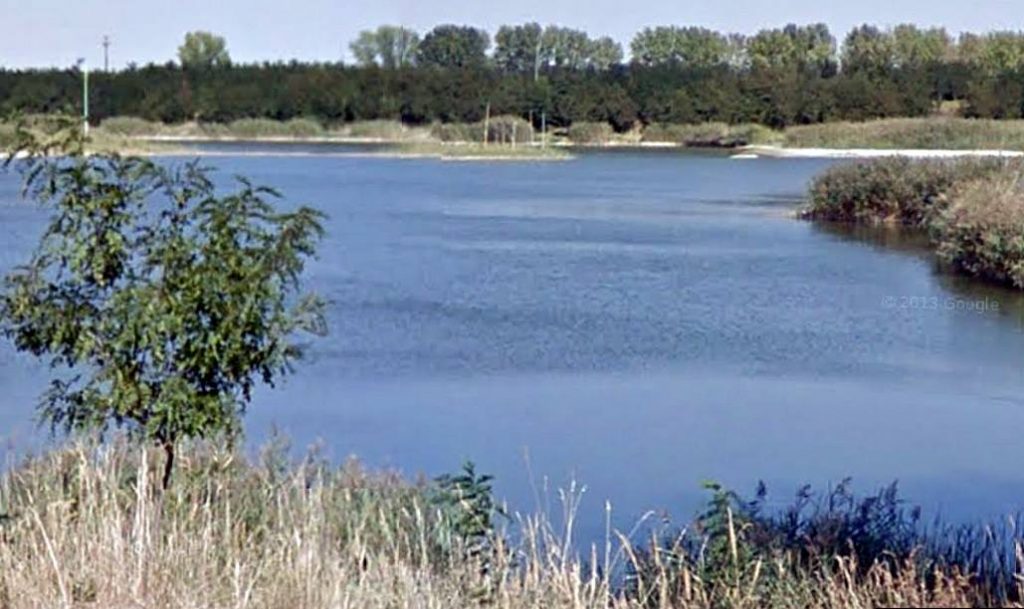 timisoara-crovurilor-1