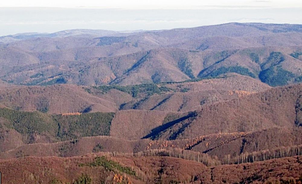 timisoara-crovurilor-4