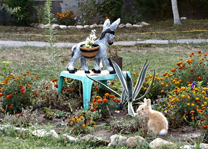 Monumentul iepurașului necunoscut