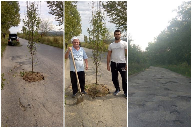 Pruni în gropile din asfaltul cărășean! Răchia de la anul – donată Consiliului Județean