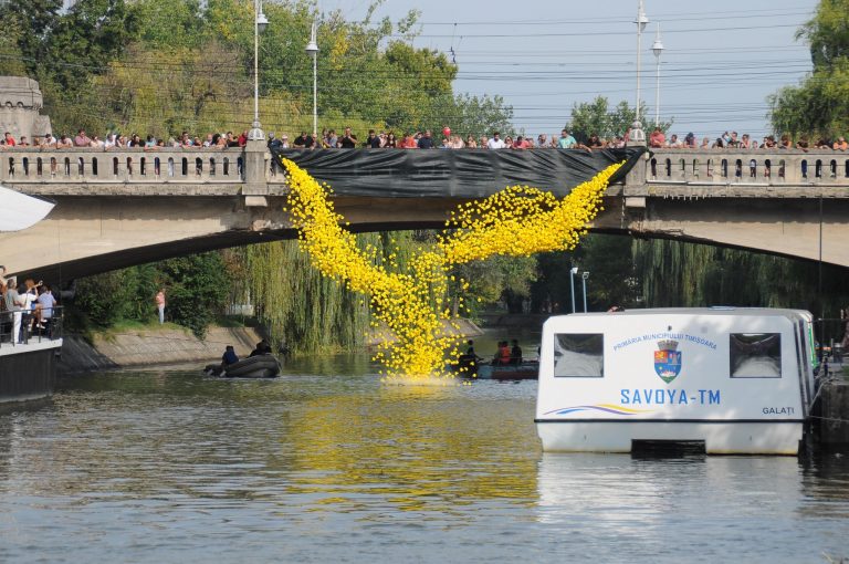 Mii de timișoreni au participat la cursa rățuștelor pe Bega-VIDEO