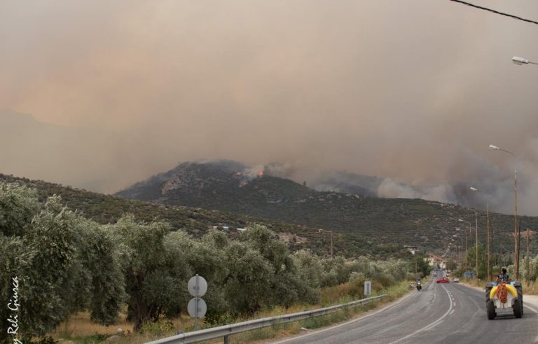 Incendii în insula grecească preferată de mulți bănățeni pentru vacanță
