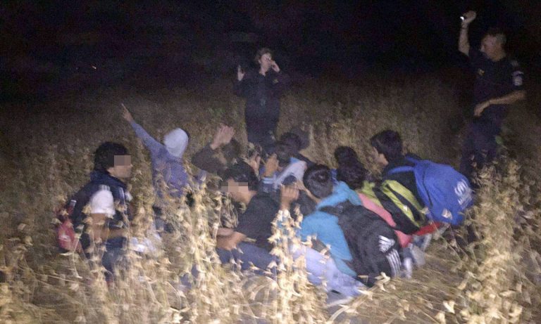 17 migranți sirieni, depistaţi la frontieră. Au între 2 și 50 de ani