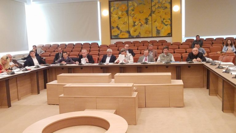 Drumurile, motiv de sfadă pentru consilierii cărășeni. Hurduzeu spune că a început campania, Purea a numărat gropile: sunt 100.000 pe un singur tronson