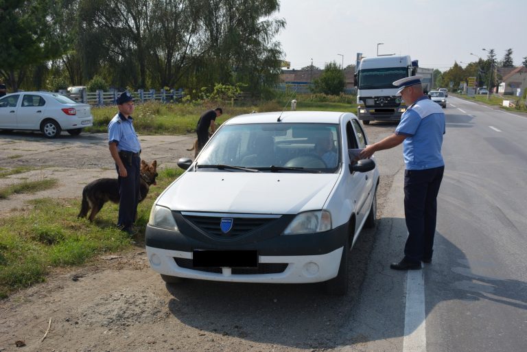 Poliția a dat iama în satele din Timiș! Ce a căutat?