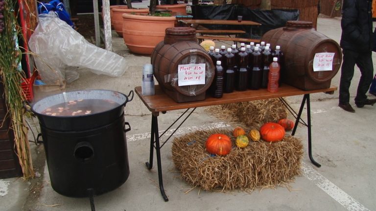 Trei zile de distracție pentru timișoreni, la Festivalul Vinului!