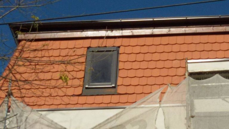 În loc de SPITAL, PALAT ȚIGĂNESC! La doi pași de centrul Timișoarei…  VIDEO