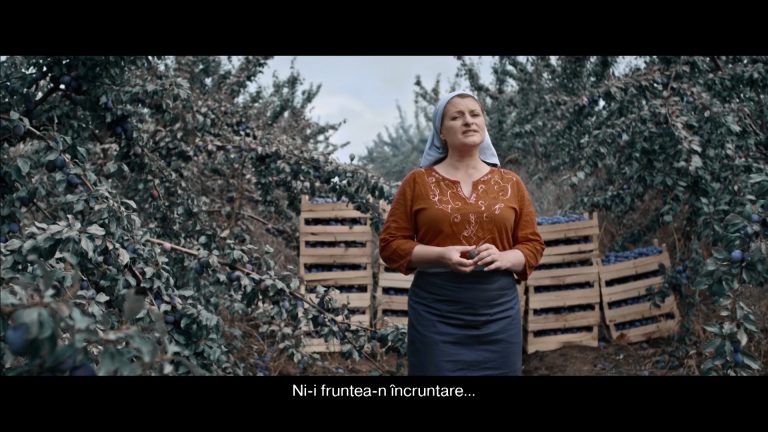 Producătorii de publicitate din Republica Moldova au demonstrat o adevărată performanță în mediul publicitar creând o reclamă excepțională a fructelor și legumelor autohtone. VIDEO