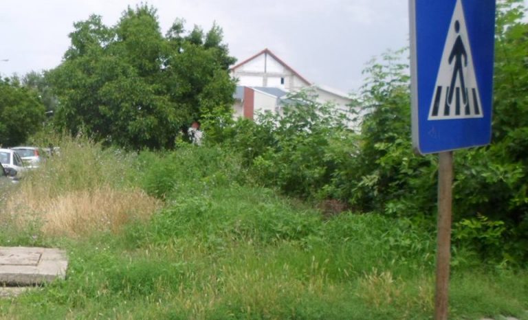Un teren nefolosit din Timișoara ar putea fi transformat în parcare și în parc