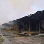 birda-incendiu-baloti-15