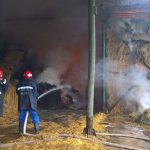 birda-incendiu-baloti-4