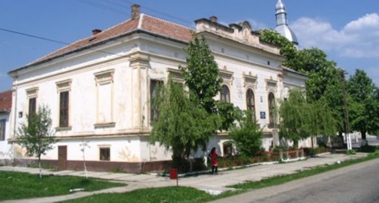 Primarul Timișoarei s-a născut într-un sat pierdut la cărți de fiul regelui Serbiei