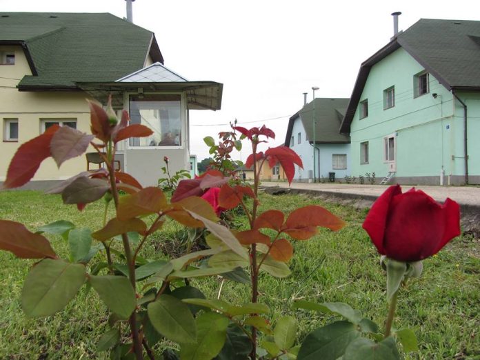 centru-reeducare-buzias