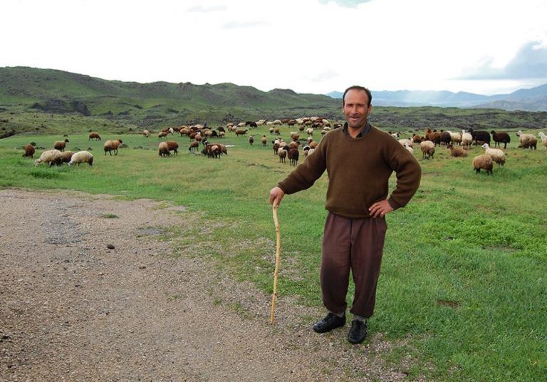 Primarii cărășeni protestează față de stânele ”made in UE”, cu două camere