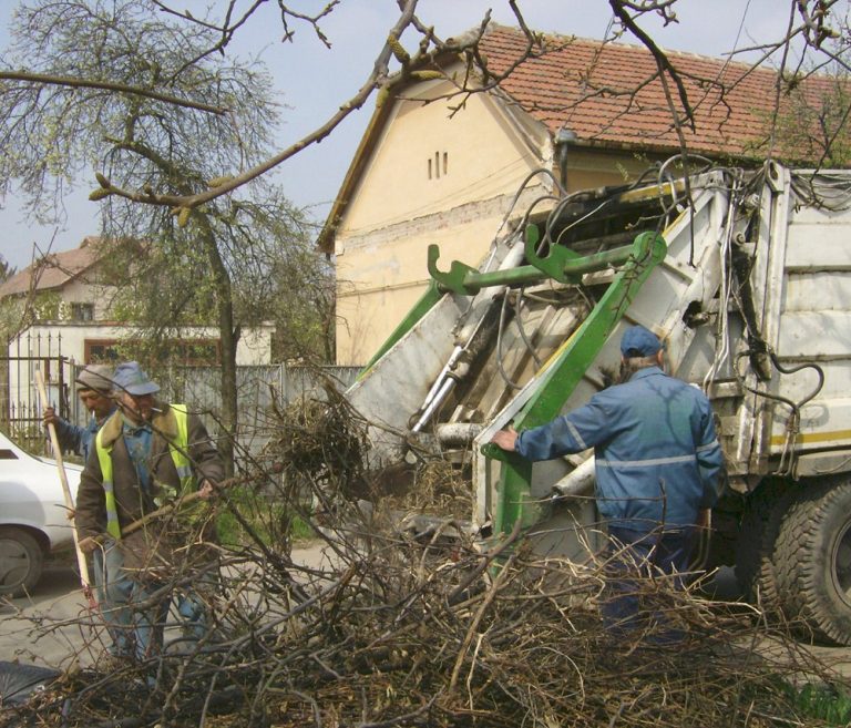 Azi se face curățenie în perimetrul străzilor Câmpului-Calea Moșniței
