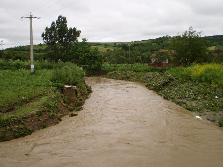 O localitate din Timiș riscă să rămână izolată din cauza inundațiilor. Apa a trecut peste mal