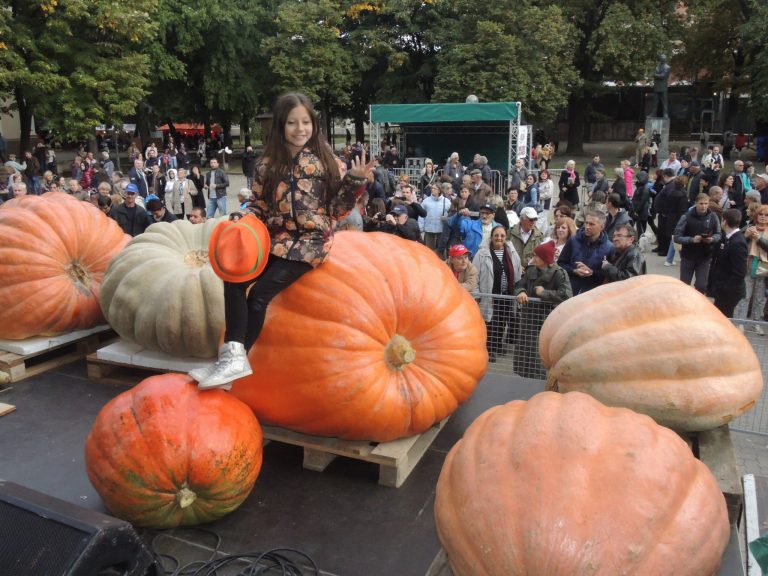 Zilele Ludăii 2016 s-au încheiat, a început munca la ediția următoare