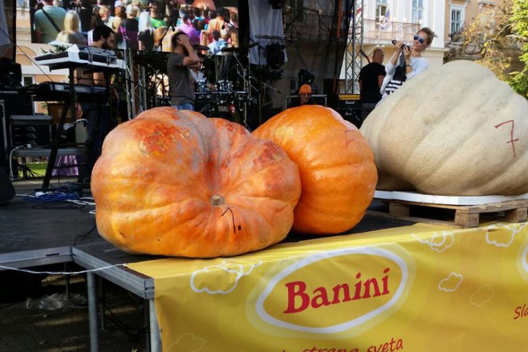 Dovleacul sârbesc modifică programul de trecere a frontierei la Lunga – Nakovo