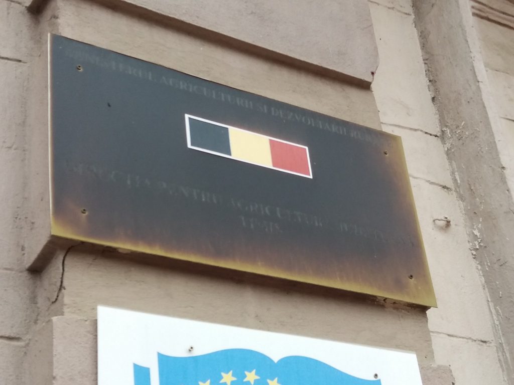 plascute-scorojite-3