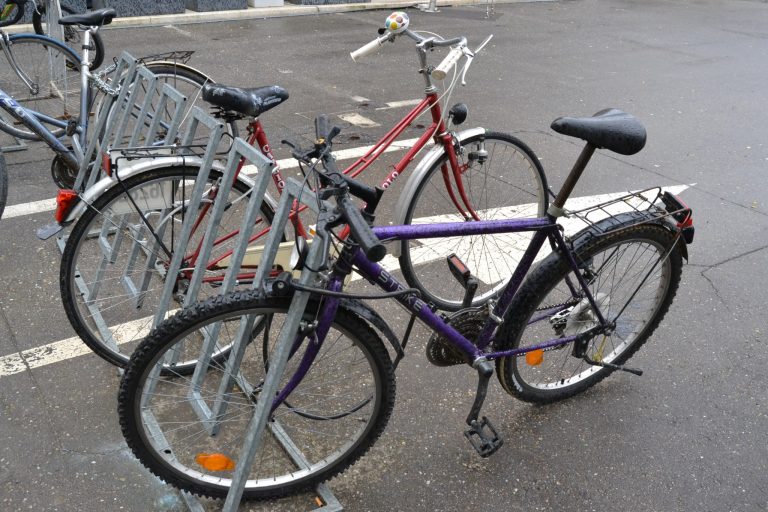 Primarul Robu este așteptat la a opta Numărătoare de Toamnă