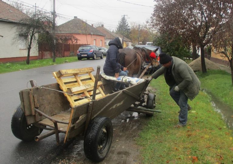 Cu căruța pe bulevard. Ce probleme au găsit polițiștii locali în cartierele Soarelui și Ciarda Roșie
