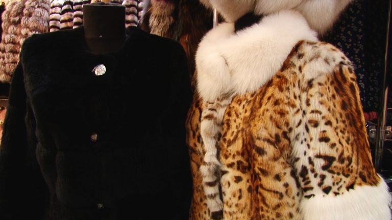 Salonul Industriei Ușoare, ediția de iarnă, se deschide miercuri pentru public-video