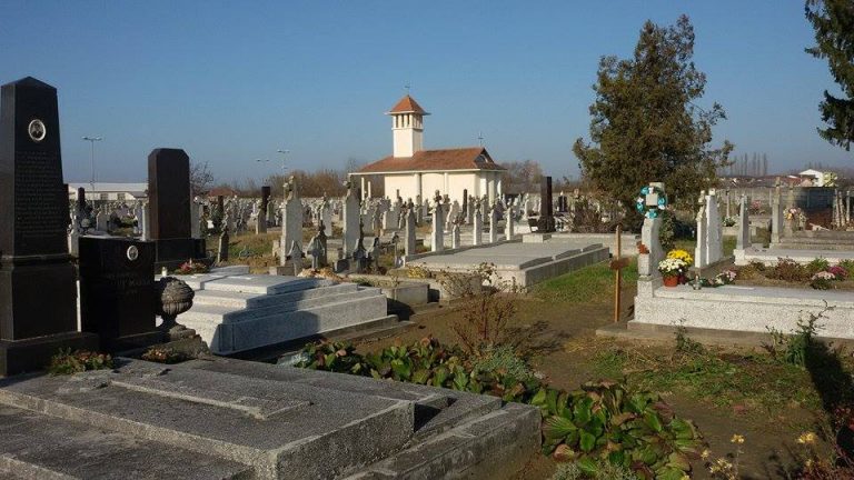 Descoperire macabră pe aleea unui cimitir din vestul țării