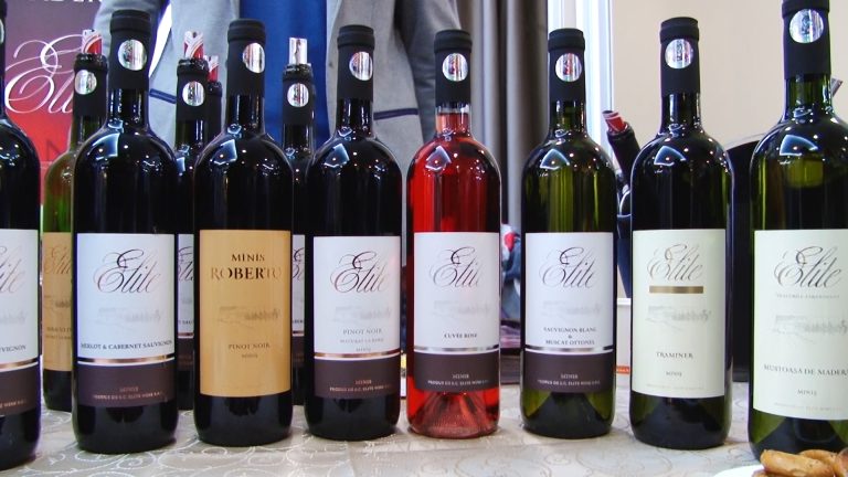 Timișorenii sunt așteptați să deguste 300 de vinuri alese, la Salonul Rovinhud-VIDEO