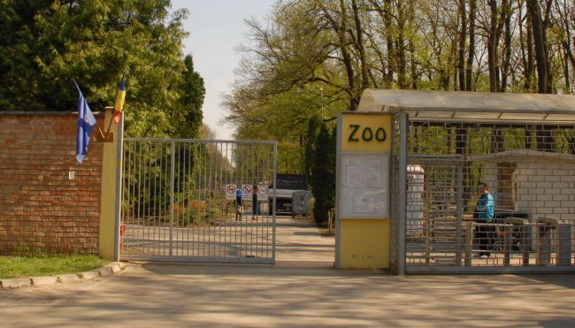 La Grădina Zoologică din Timişoara a murit… un om!