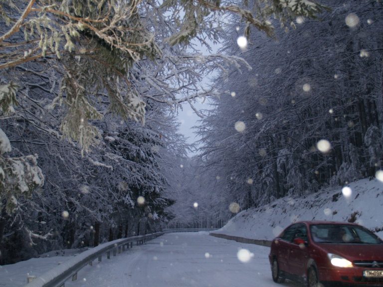 Iarna își intră în drepturi! Drumuri acoperite de zăpadă și închise în vestul ţării