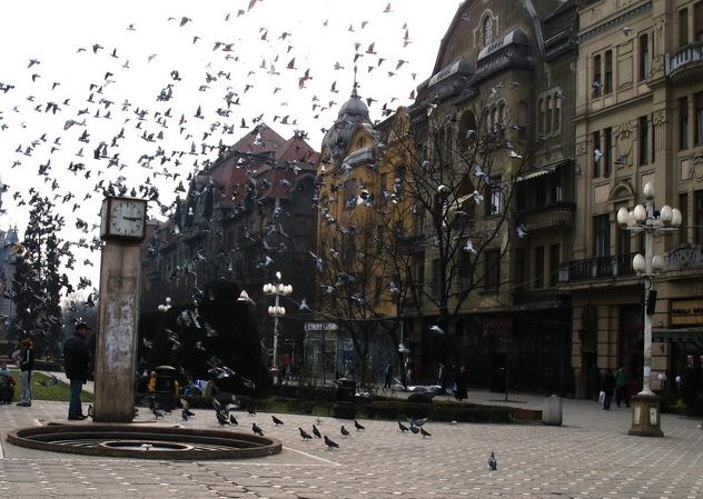 Copil de 6 ani dat dispărut, identificat de polițiștii locali în centrul Timișoarei. Cum a fost găsit