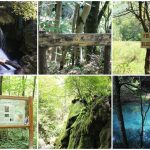 cheile-nerei-beusnita-colaj