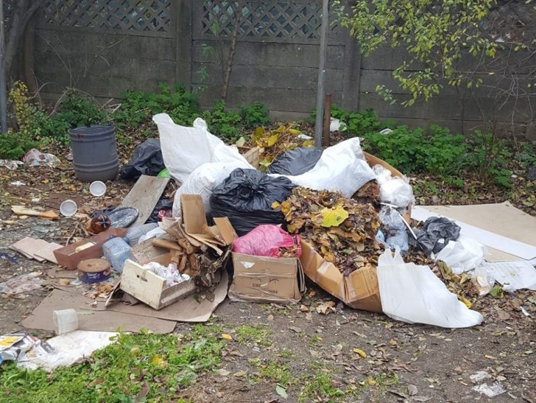 Curățenia de toamnă s-a încheiat, însă unii timișoreni depozitează în continuare deșeuri pe domeniul public