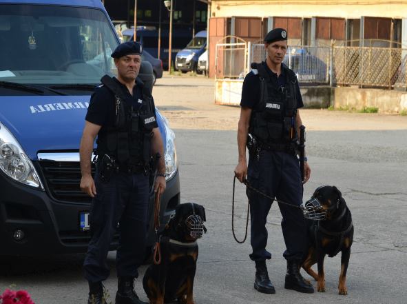 Jandarmii timişoreni merg să facă ordine la Arad