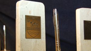 decernarea-premiilor-cjt-still014